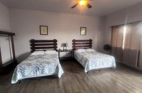 Esteli House | Wally’s Place