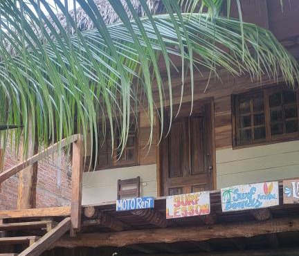 Coconut Surf