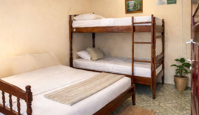 Hostal los Chamos - Hostel