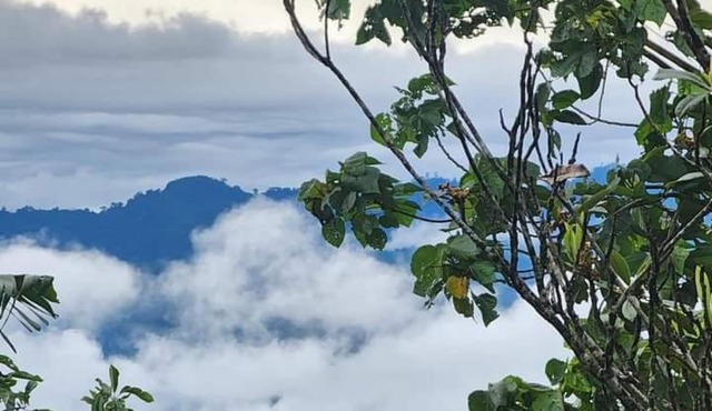 Matagalpa 4 Bed House Land of Dreams-La Tierra