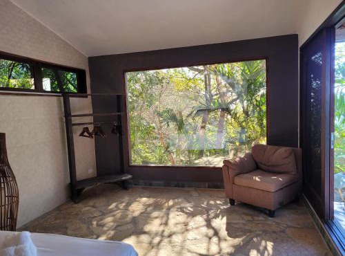 Quiet and comfy studio with jungle views