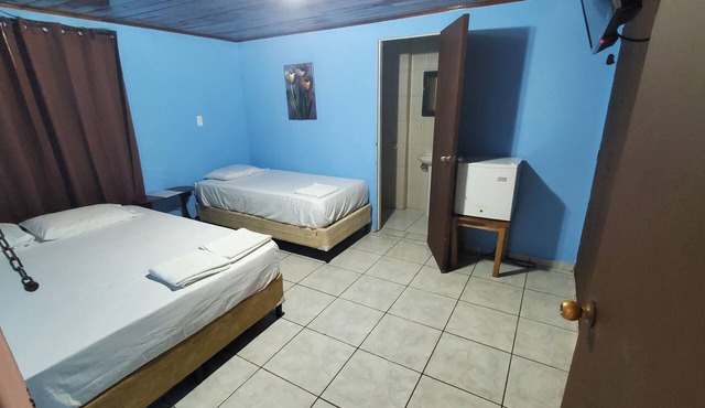Samuva Campestre