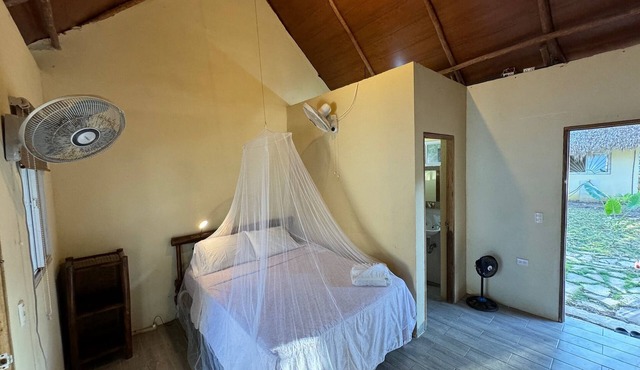 The Grand Mango in Tola