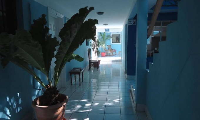 Masaya Hostel | Centro YAYABO
