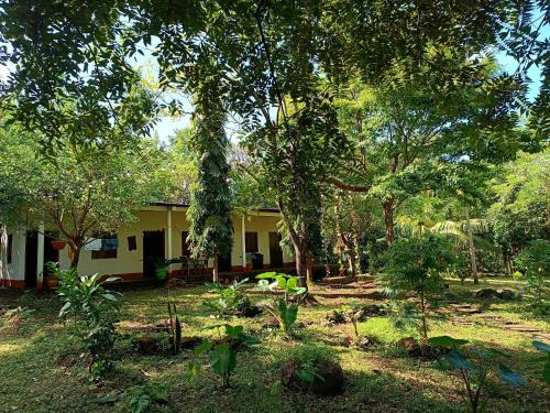 Santa Cruz House | Holy Spirit Hostel Ometepe