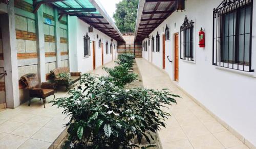 Masaya Hostel | Hostal Casa San Miguel
