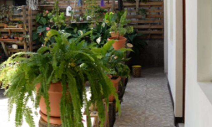 Somoto Hostel | Hostal San Jose - Hostel