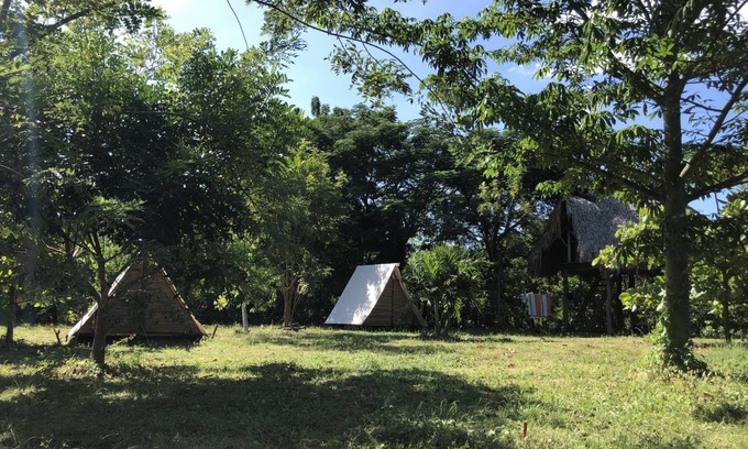 El Transito Hostel | Hostel ∙ 8 guests