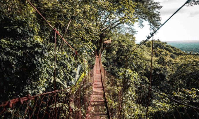 Mombacho Volcano Nature Reserve Hostel | Hostel ∙ 8 guests