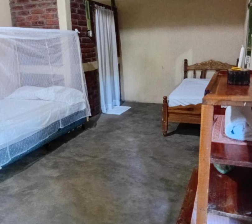 Balgue Apartment | Iguana House