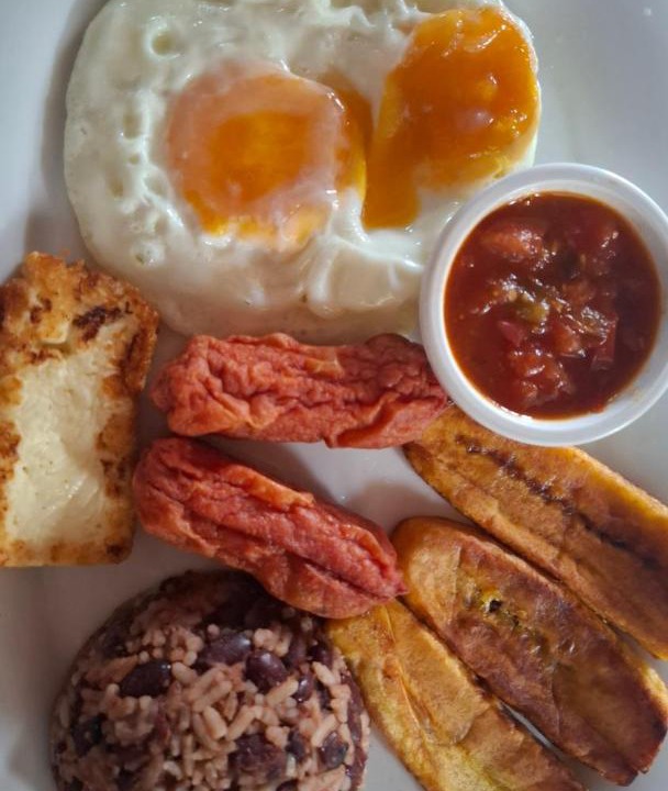 Santo Domingo Bed & Breakfast | exotic island ometepe