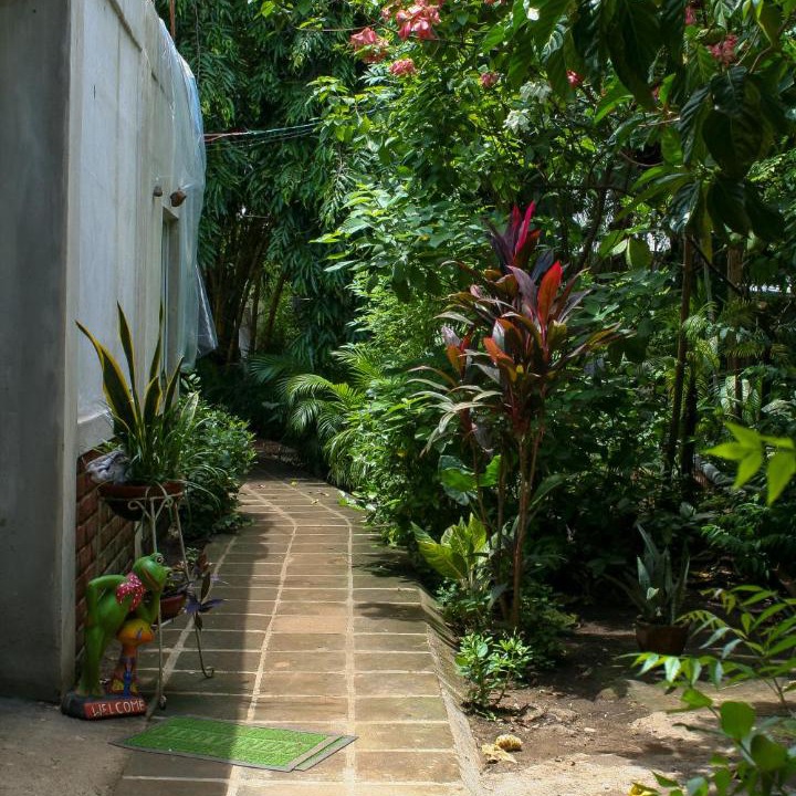 Leon Bed & Breakfast | PAUI Rooms