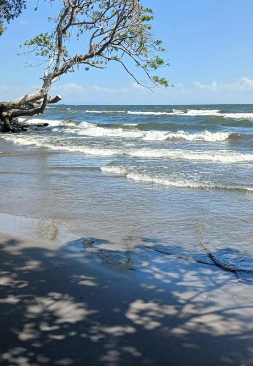 Ometepe Island House | Beach & forest Escape