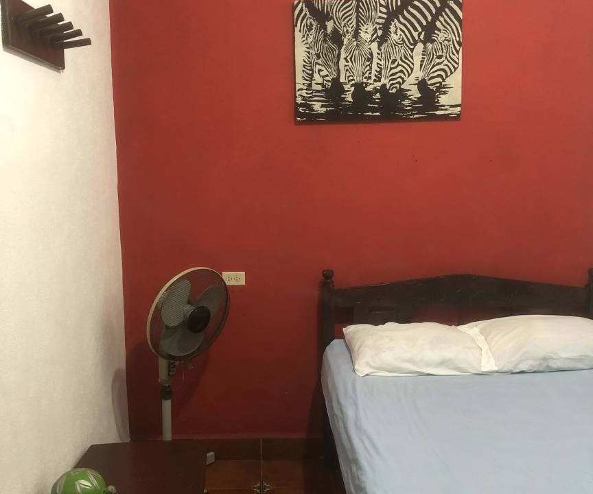 Photo of Others in Leon