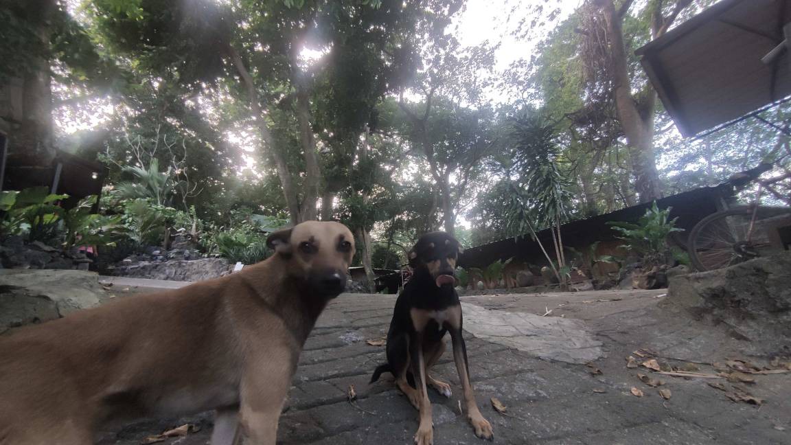 Photo of Others in Ometepe Island