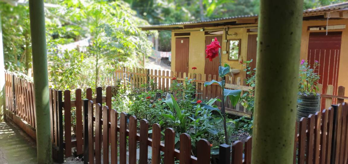 Photo of Others in Ometepe Island