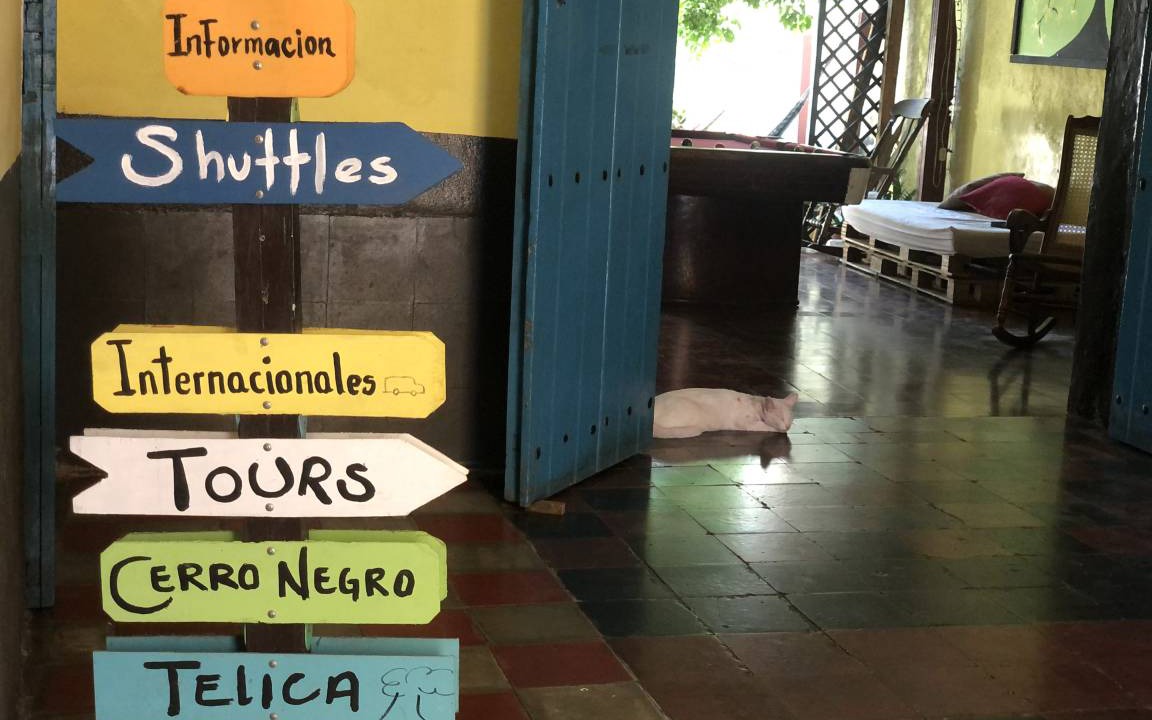 Photo of Others in Leon
