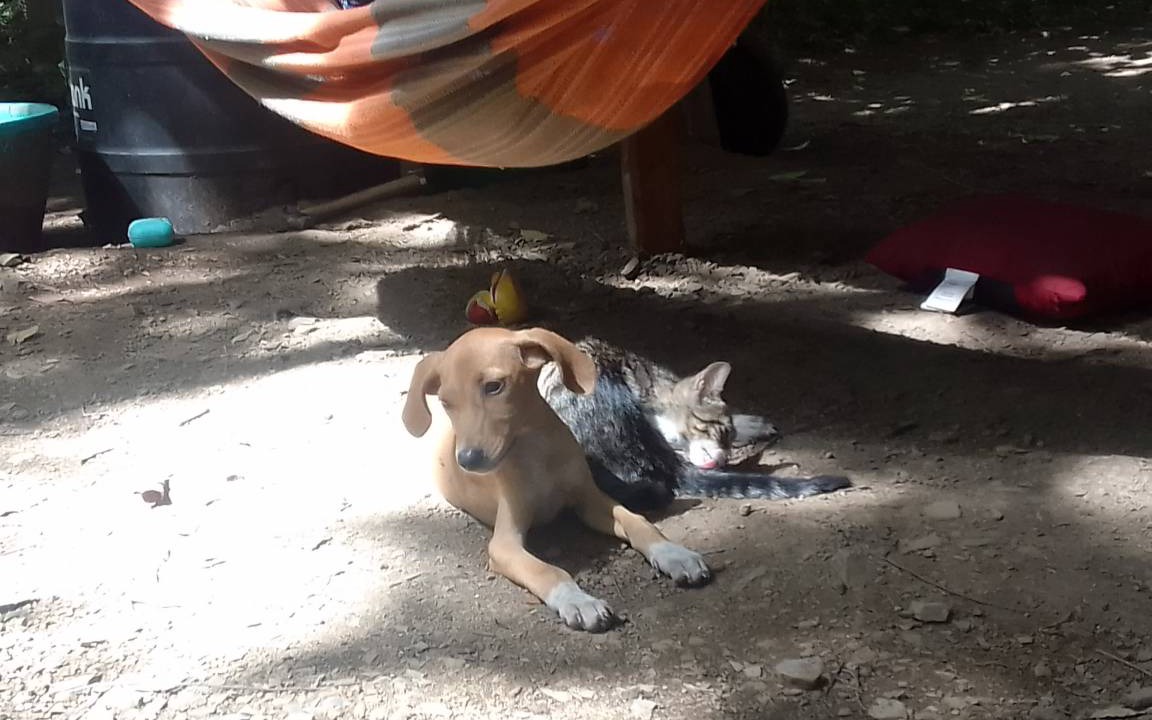Photo of Others in Rivas