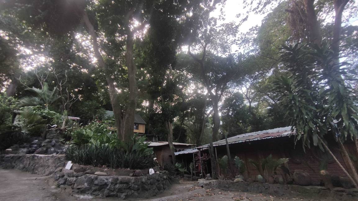 Photo of Others in Ometepe Island