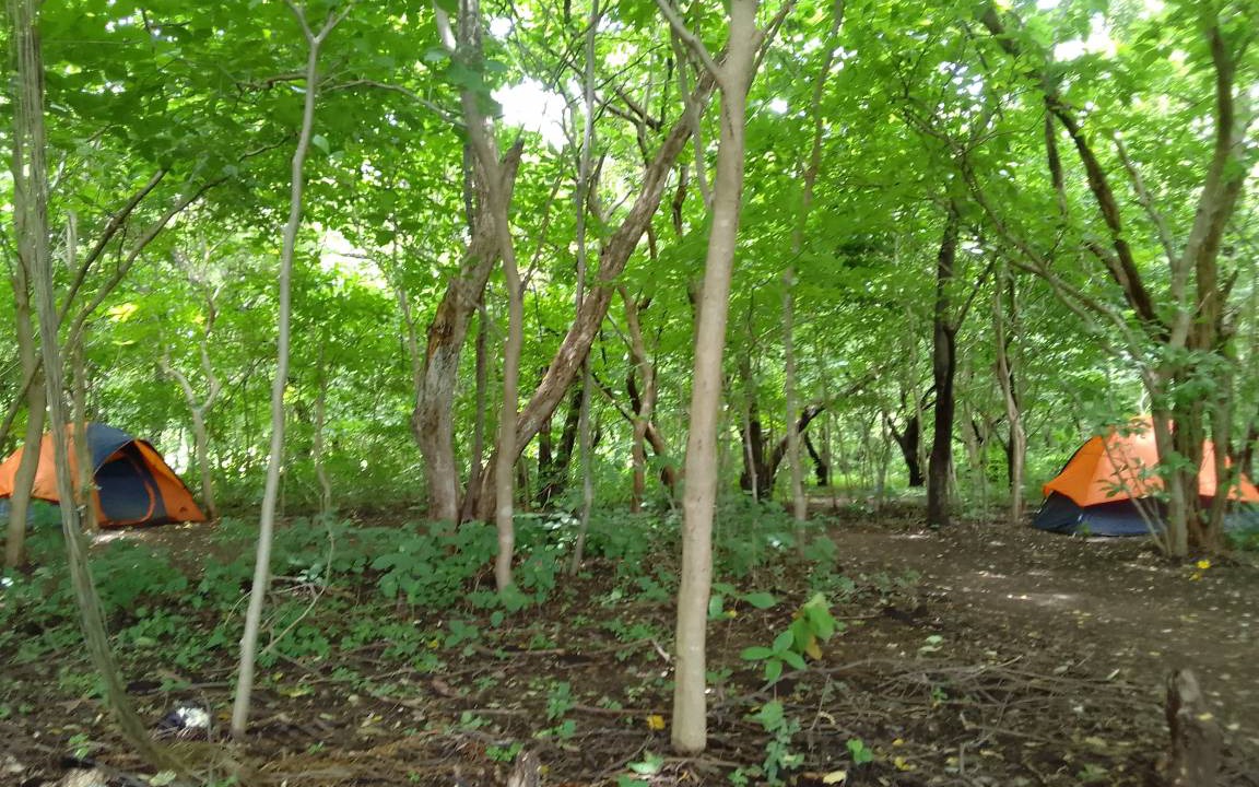 Photo of Others in Rivas