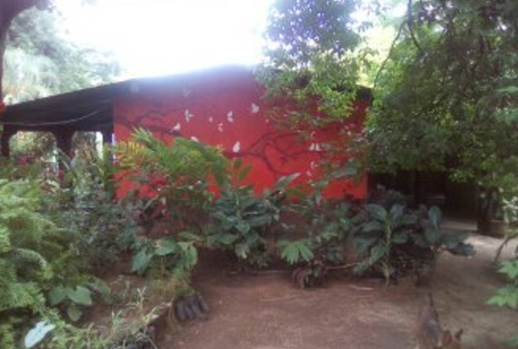 Photo of Others in Ocotal