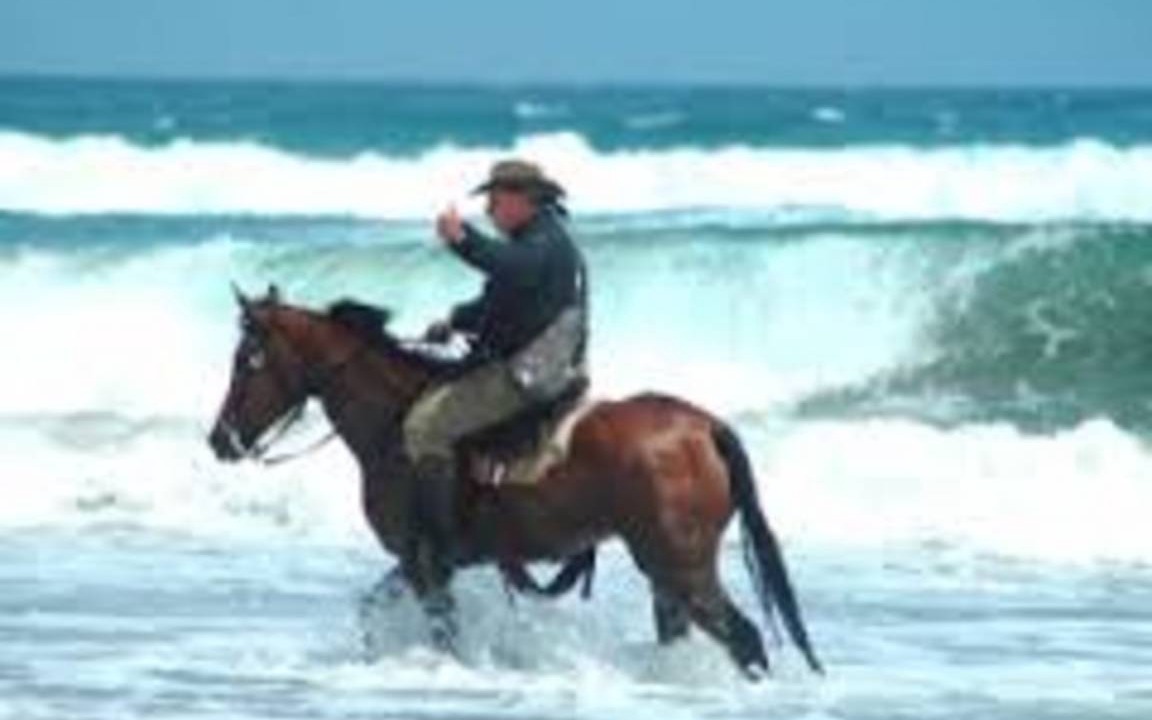 Photo of Others in Santa Cruz