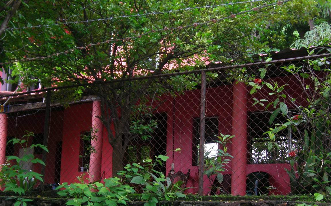 Photo of Others in La Laguna