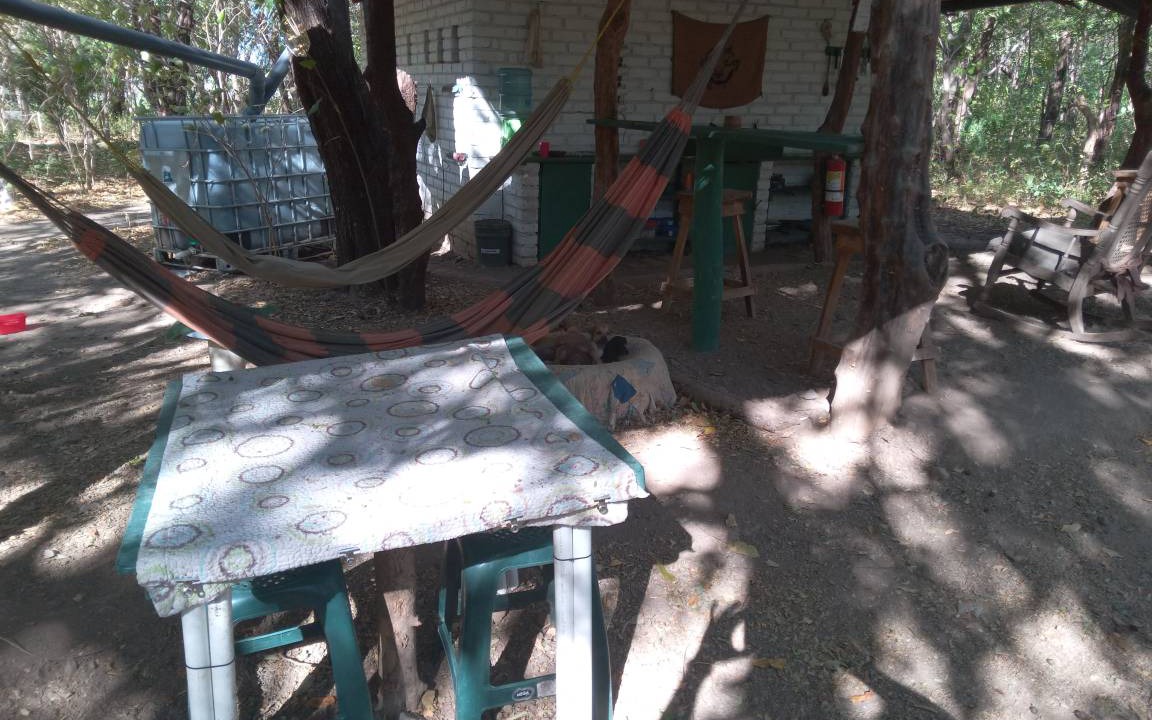 Photo of Others in Rivas