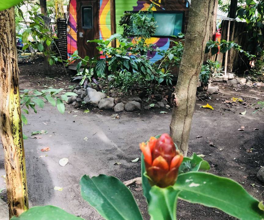 Photo of Others in Ometepe Island