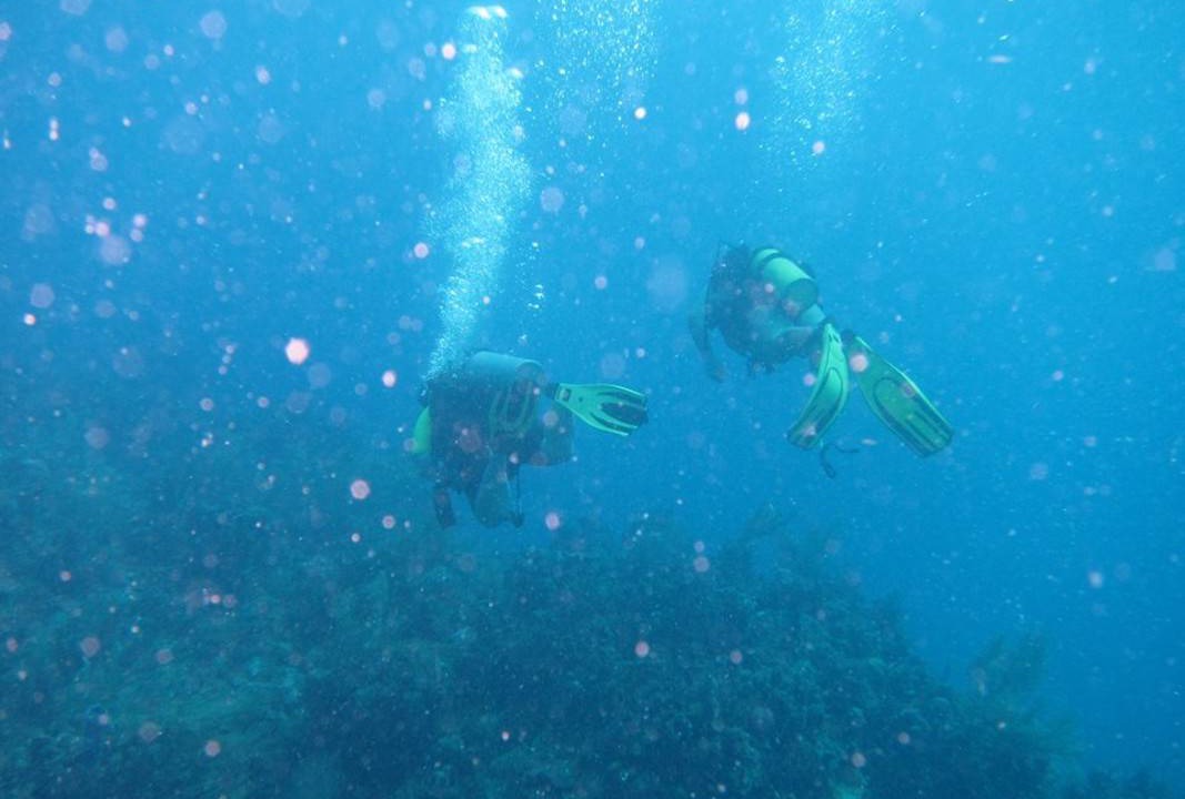 Photo of Others in Santa Cruz