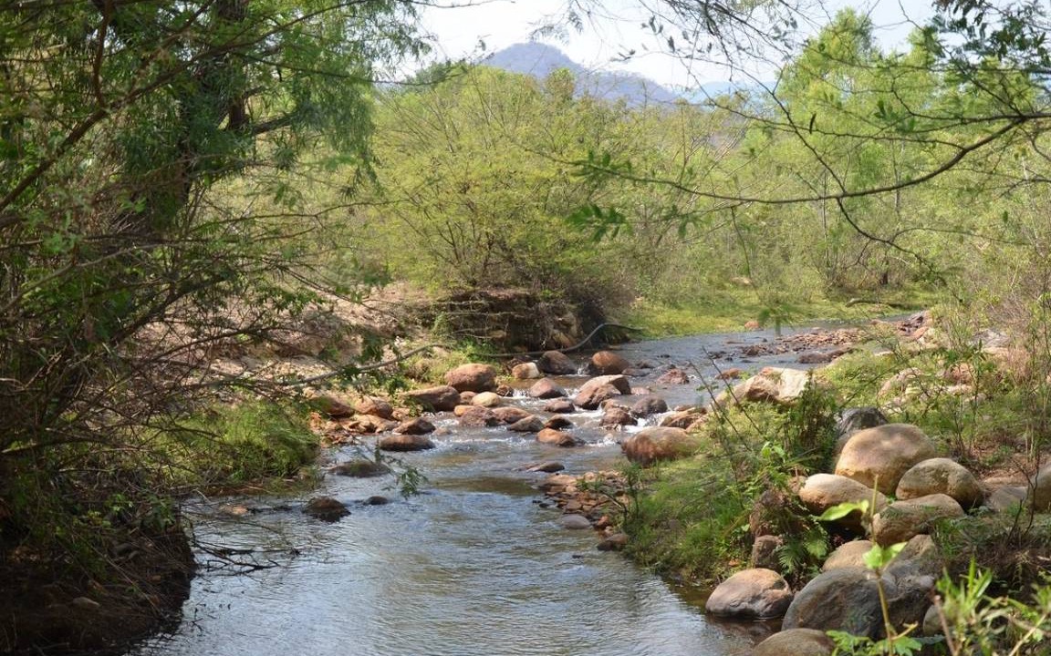 Photo of Others in Ocotal