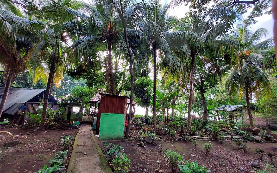 Photo of Others in Ometepe Island
