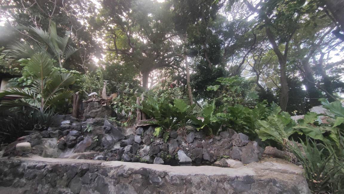 Photo of Others in Ometepe Island