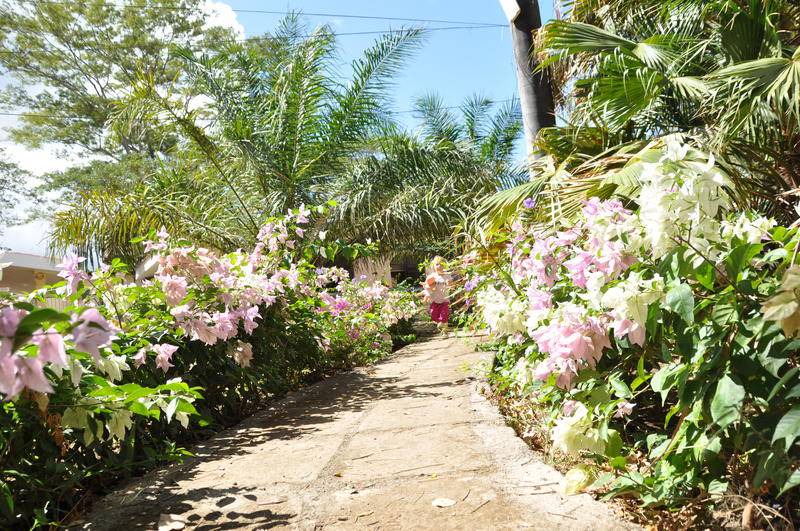 Photo of Others in Managua