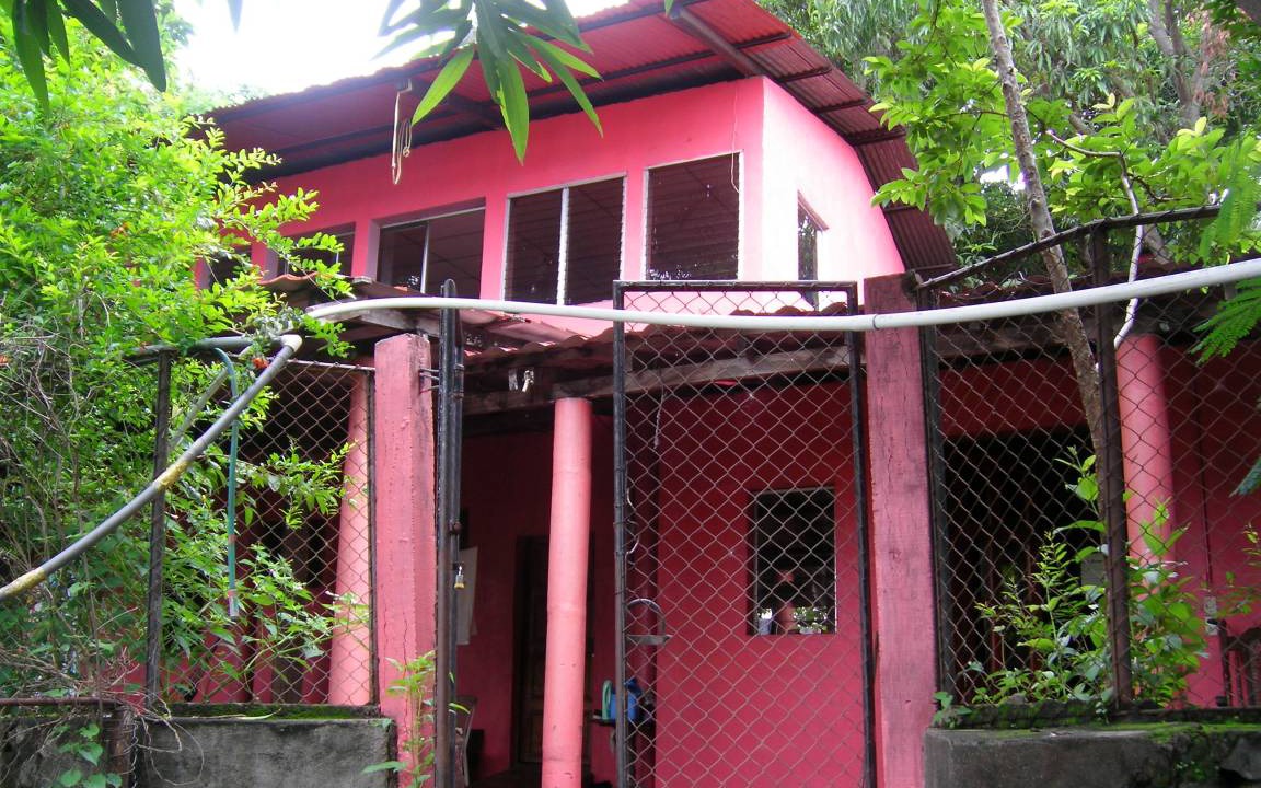 Photo of Others in La Laguna