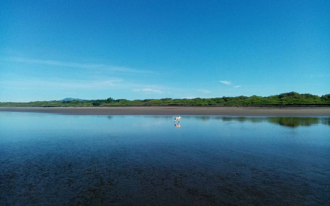 Photo of Others in El Viejo