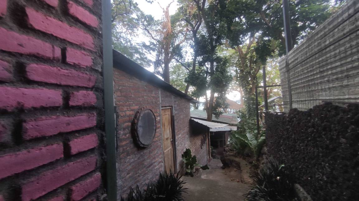 Photo of Others in Ometepe Island