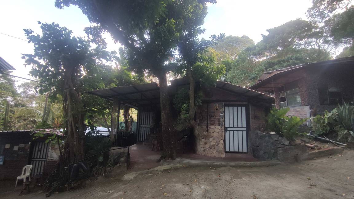 Photo of Others in Ometepe Island