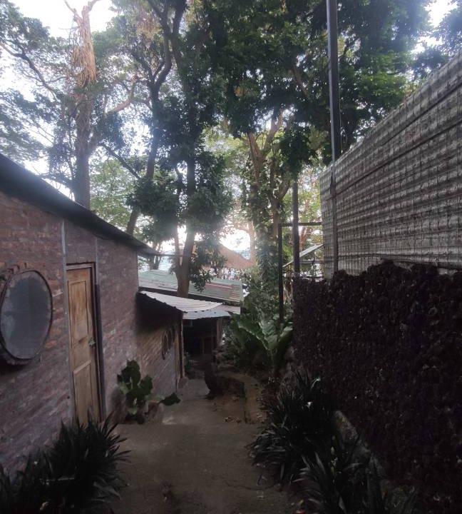 Photo of Others in Ometepe Island