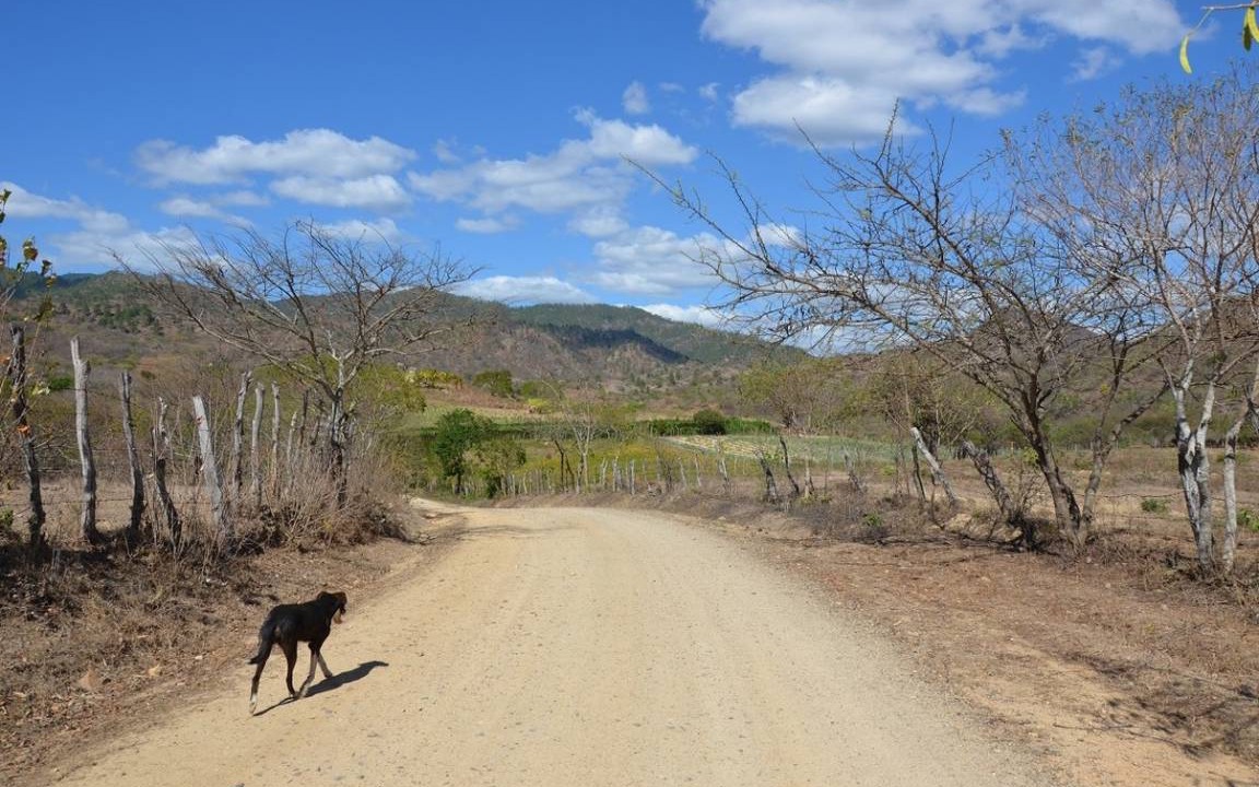 Photo of Others in Ocotal