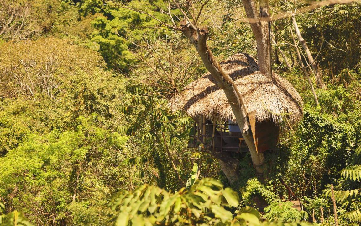 Photo of Others in Mombacho Volcano Nature Reserve