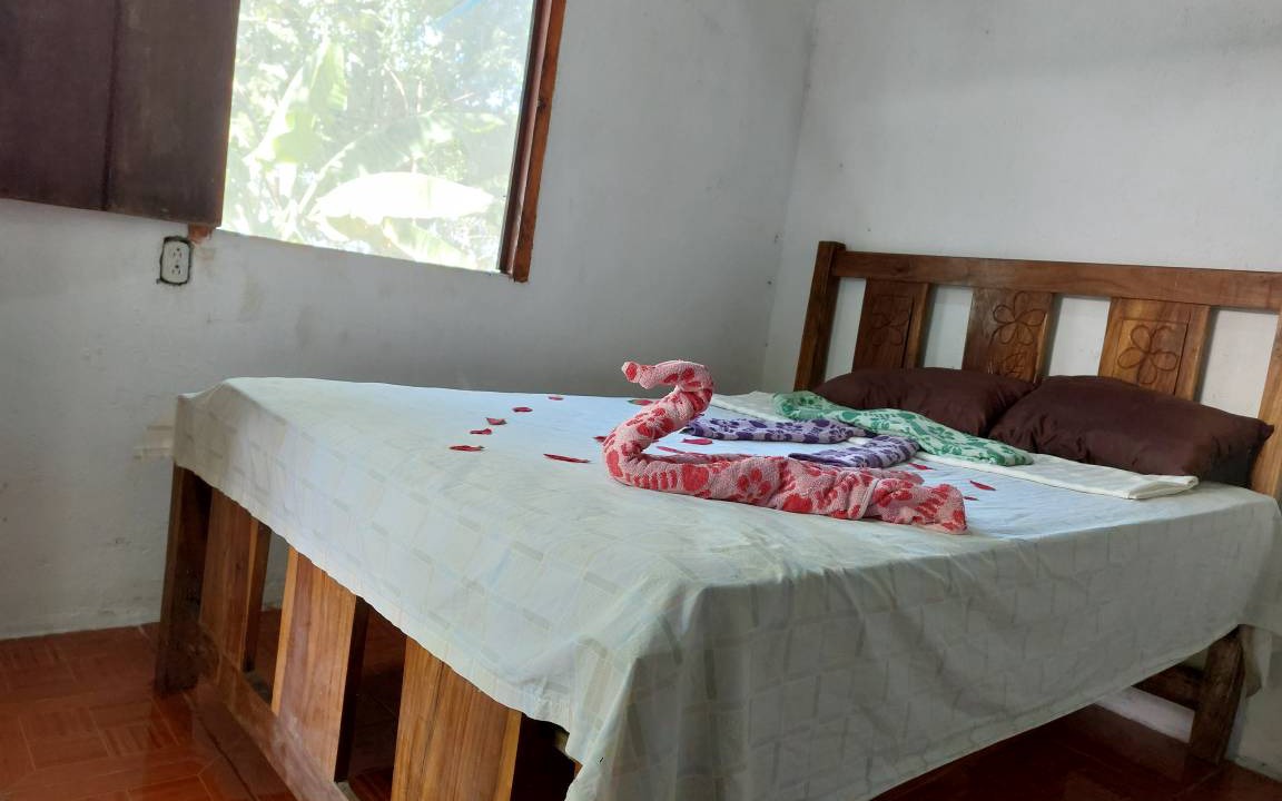 Photo of Others in Ometepe Island