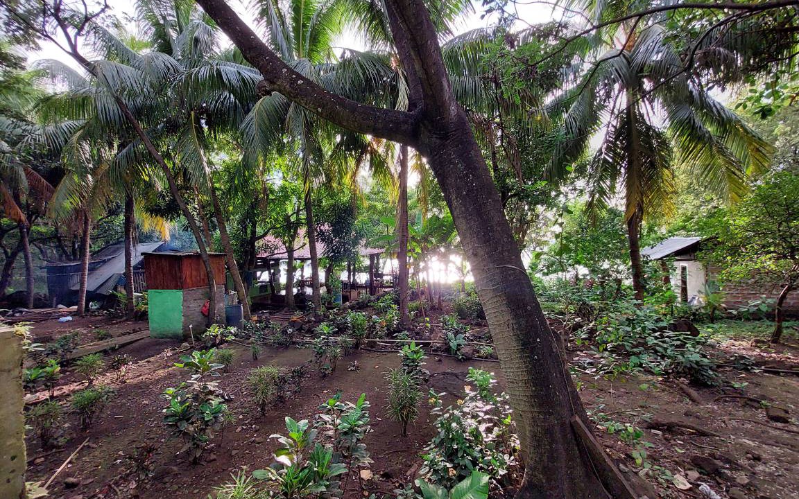 Photo of Others in Ometepe Island