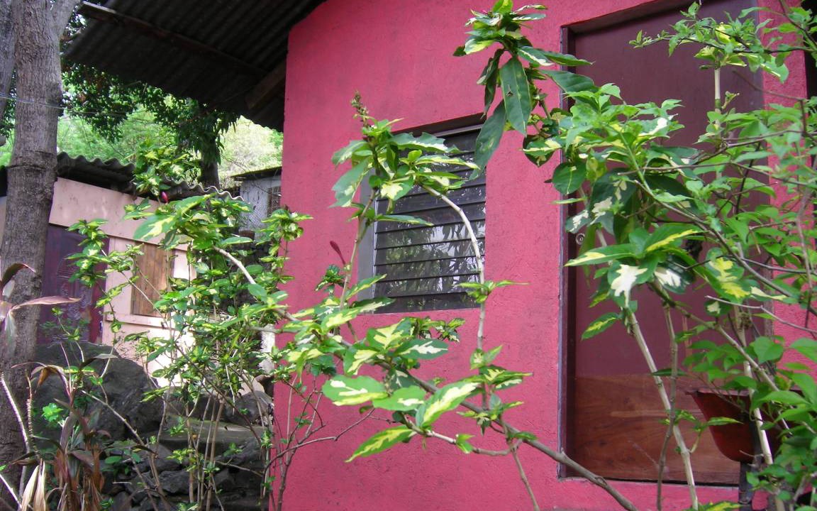 Photo of Others in La Laguna