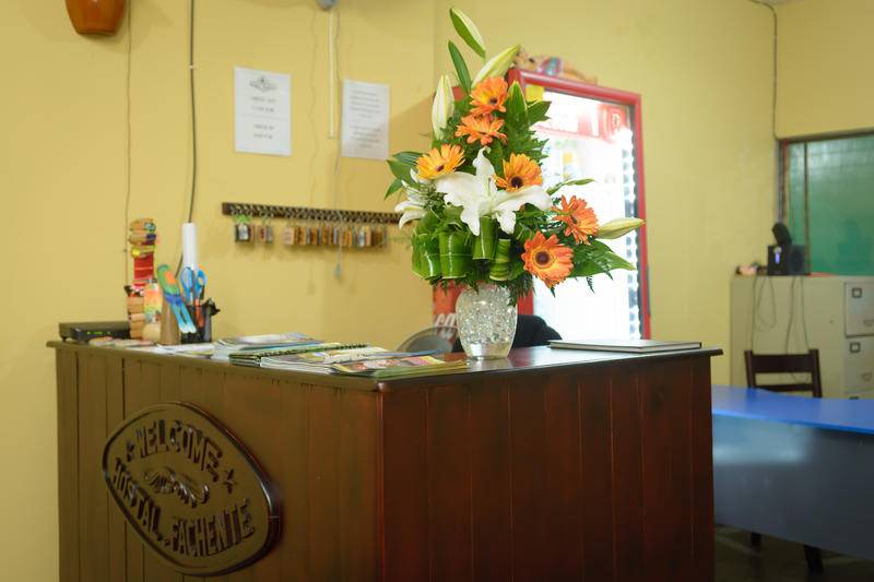 Photo of Others in Leon
