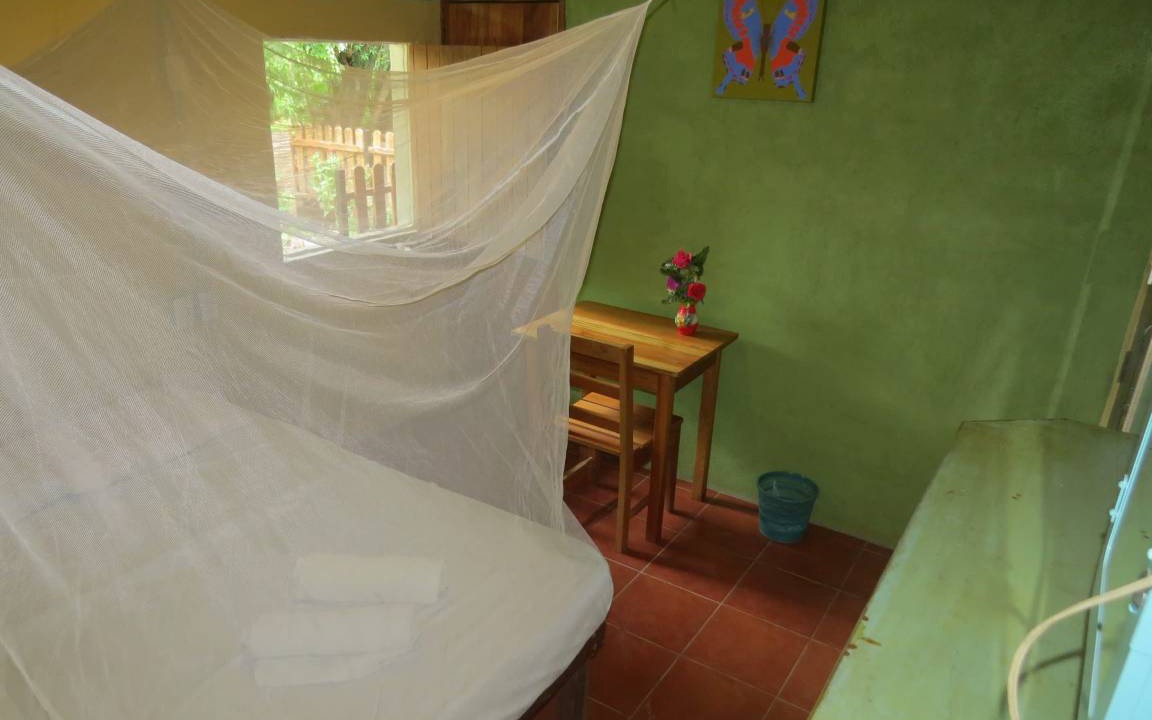 Photo of Others in Ometepe Island