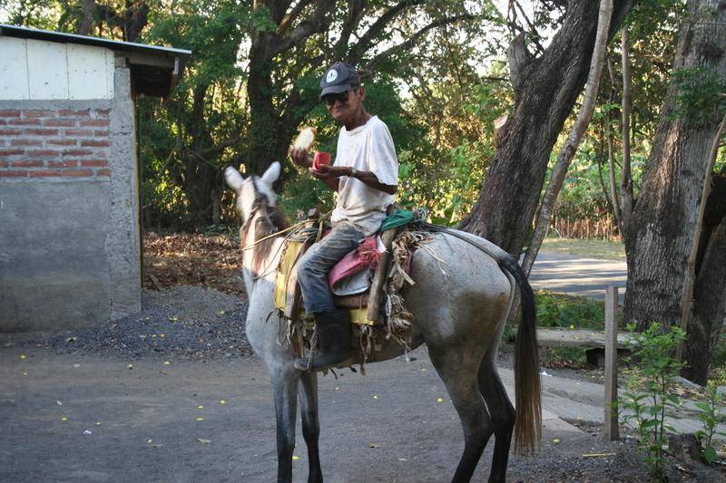Photo of Others in Ometepe Island