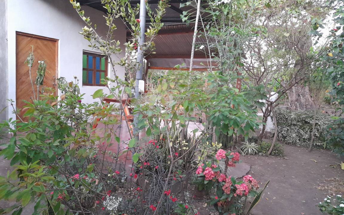 Photo of Others in Ometepe Island