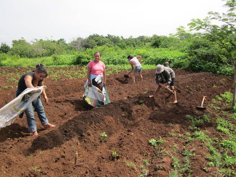 Photo of Others in Lago de Apoyo