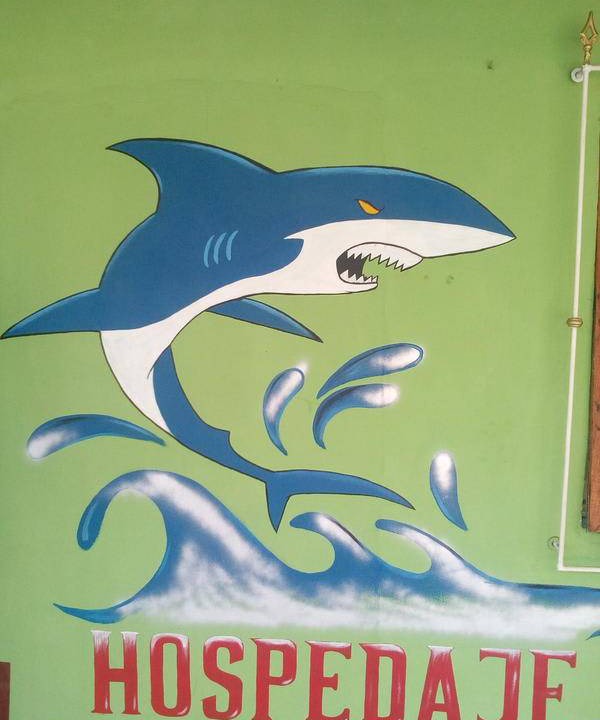 Photo of Others in Ometepe Island